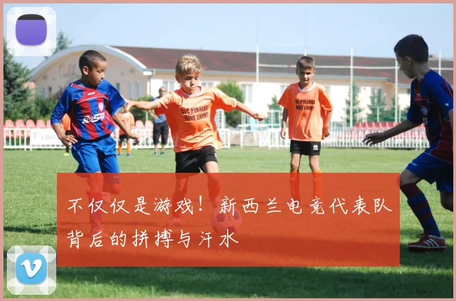 不仅仅是游戏!新西兰电竞代表队背后的拼搏与汗水