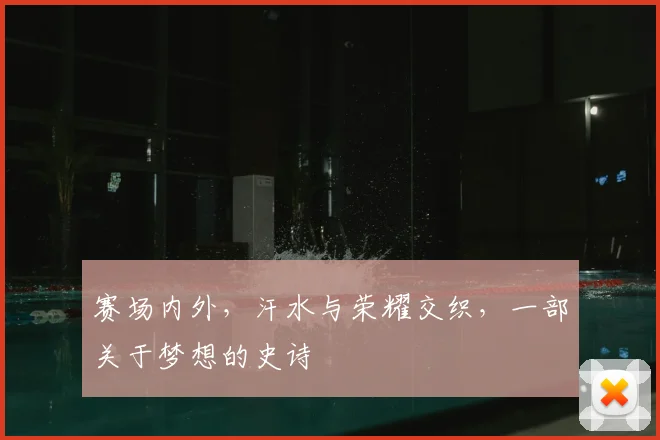 赛场内外,汗水与荣耀交织,一部关于梦想的史诗